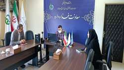 برگزاری نشست تخصصی در راستای مدیریت منابع و مصارف در معاونت غذا و دارو
